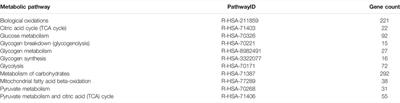 Identification of Energy Metabolism-Related Gene Signatures From scRNA-Seq Data to Predict the Prognosis of Liver Cancer Patients